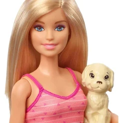 Barbie Doll With Pets and Accessories