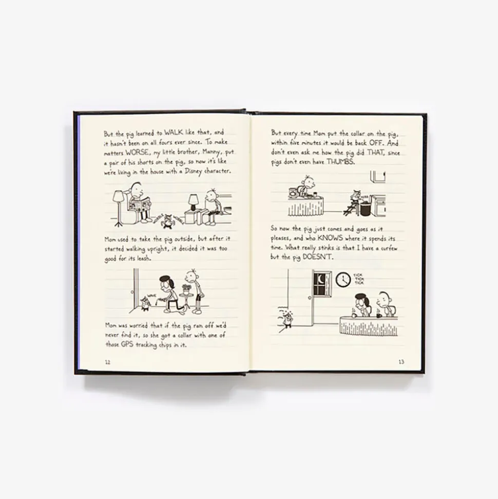 Diary of a Wimpy Kid #10 Old School