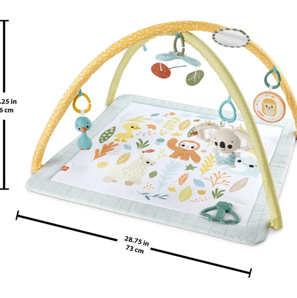 Fisher-Price Simply Senses Newborn Gym Baby Activity Mat with 6 Sensor