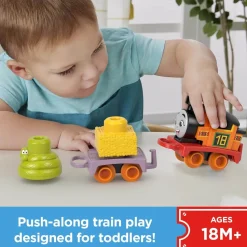 Fisher-Price Thomas&Friends My First Push Along Train Nia