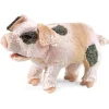 Folkmanis Grunting Pig Hand Puppet