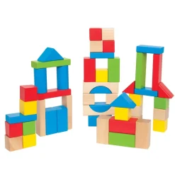 Hape 50 Piece Maple Blocks Set