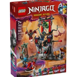 LEGO® Ninjago Dragonian Storm Village Building Kit 71841