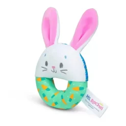 Ms Rachel Hop Little Bunny Sensory Ring