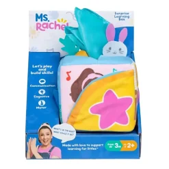 Ms Rachel Surprise Learning Box