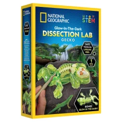 National Geographic Glow-in-the-Dark Gecko Dissection Lab