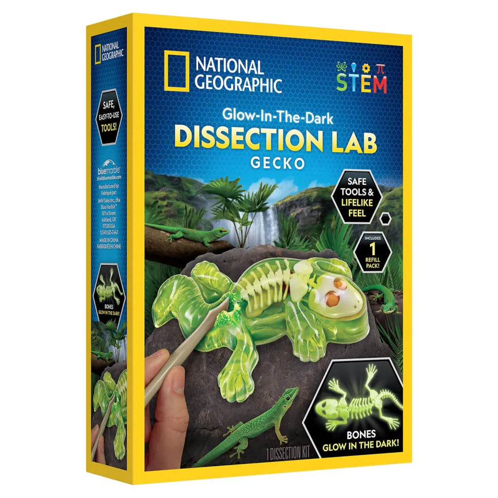 National Geographic Glow-in-the-Dark Gecko Dissection Lab
