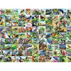 Ravensburger 99 Delightful Birds 300 Piece Large Format Puzzle
