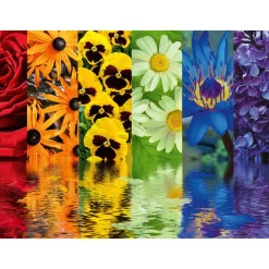 Ravensburger Floral Reflections 500 Pc