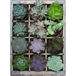 Ravensburger Green 300 Piece Jigsaw Puzzle