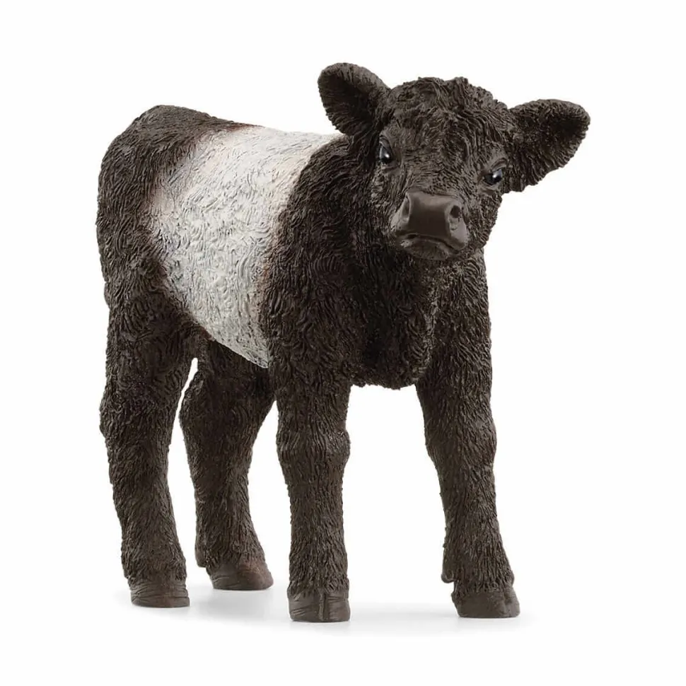 Schleich Farm World Galloway Calf Figure