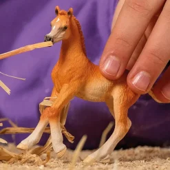 Schleich Horse Club Arabian Foal Figure