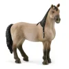 Schleich Horse Club Criollo Definitivo Mare (13948)