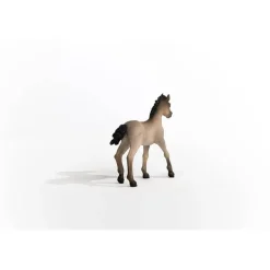 Schleich Horse Club Criollo Definitivo Foal (13949)