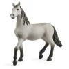 Schleich Horse Club Pura Raza Young Horse Figure