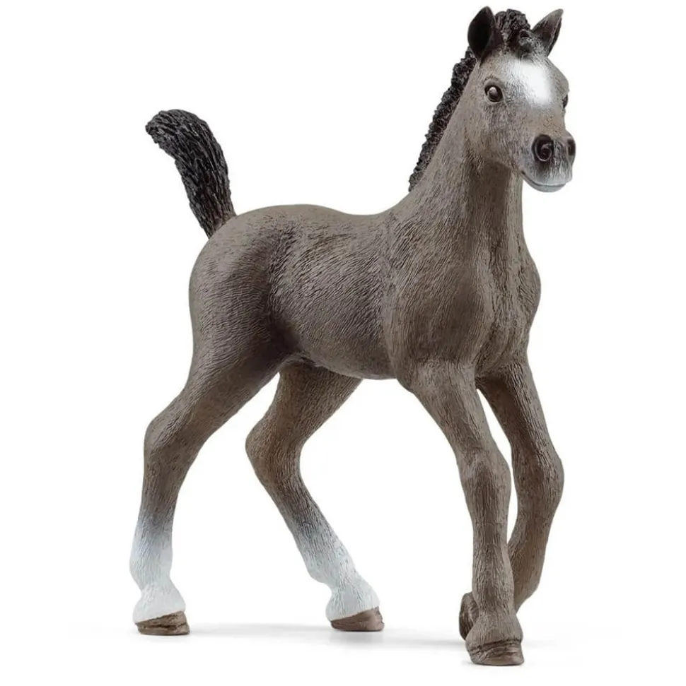 Schleich Horse Club Selle Français Foal (13957)