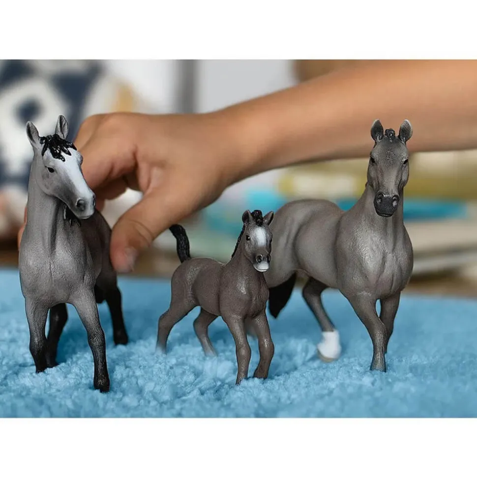 Schleich Horse Club Selle Français Stallion (13956)