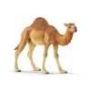 Schleich Wild Life Dromedary Animal Figure