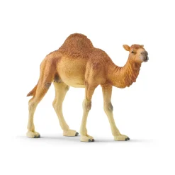 Schleich Wild Life Dromedary Animal Figure
