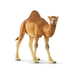 Schleich Wild Life Dromedary Animal Figure