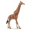 Schleich Wild Life Male Giraffe Animal Figure