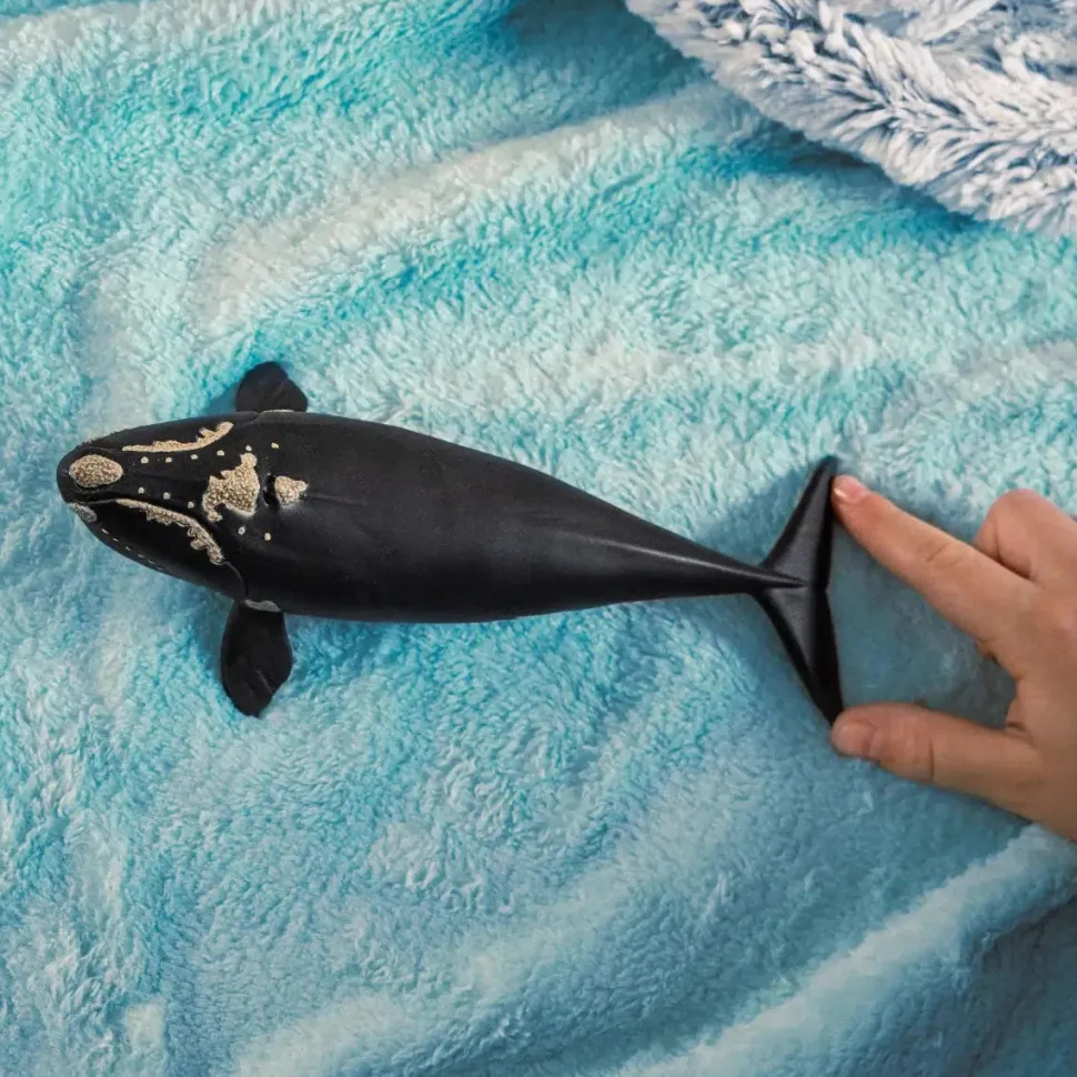 Schleich Wild Life North Atlantic Right Whale
