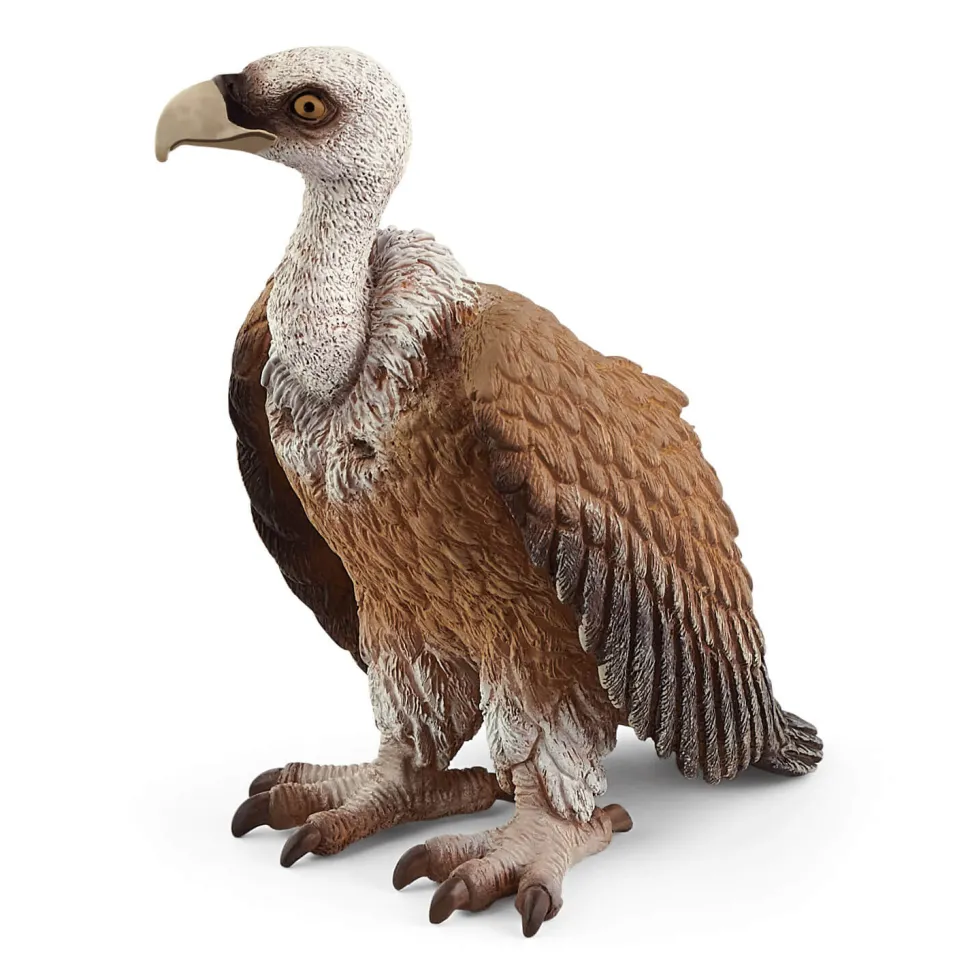Schleich Wild Life Vulture Animal Figure (14847)