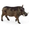 Schleich Wild Life Warthog Animal Figure (14843)