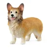 Schliech Farm World Welsh Corgi