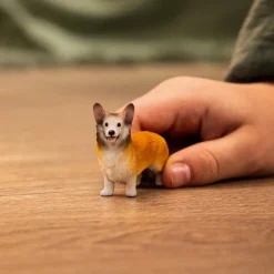 Schliech Farm World Welsh Corgi
