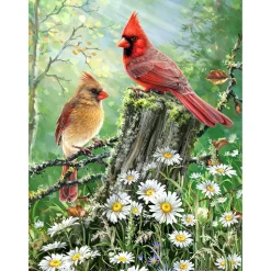 Springbok Golden Light 500 Piece Jigsaw Puzzle