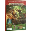 Warhammer Age of Sigmar Getting Started With Set (Stormcast Eternals v