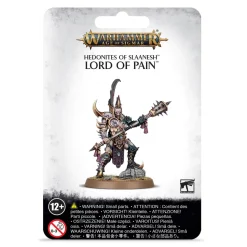 Warhammer Age of Sigmar Lord of Pain