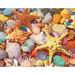 White Mountain Puzzles Beach Shells 500 Piece