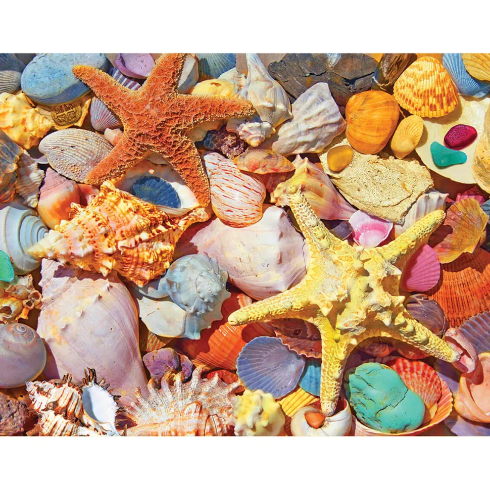 White Mountain Puzzles Beach Shells 500 Piece