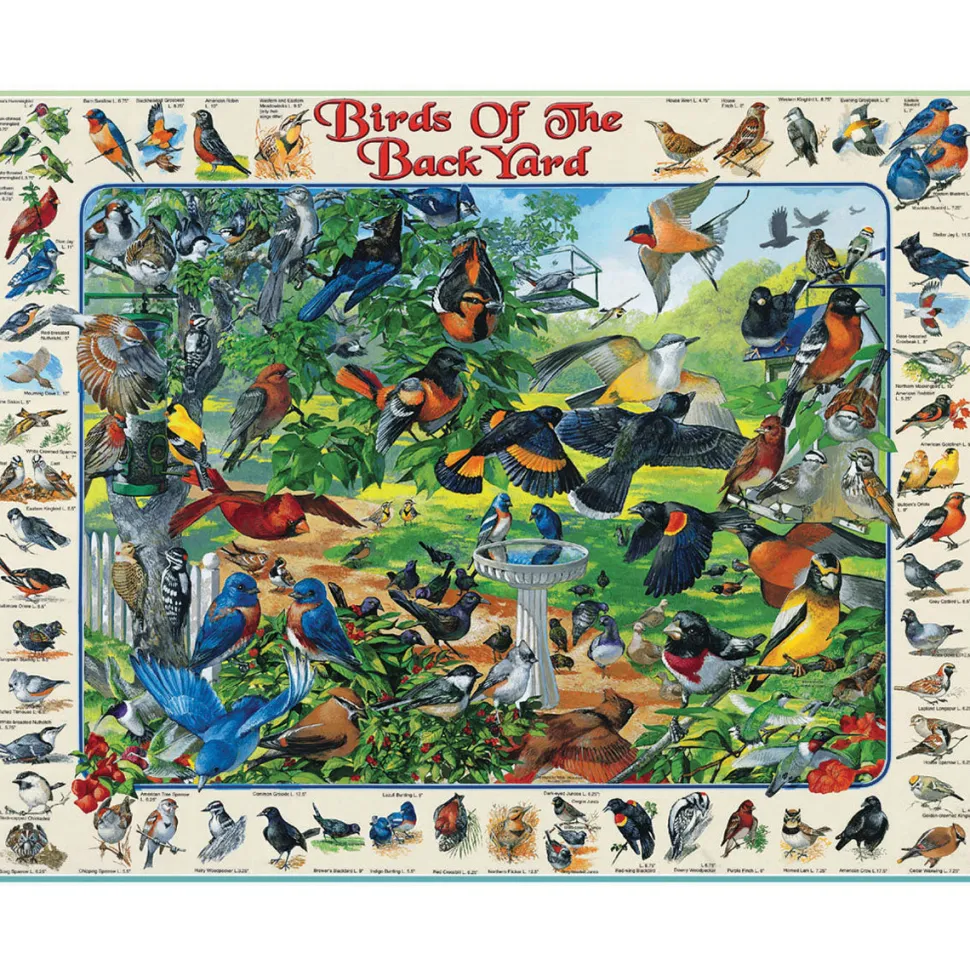 White Mountain Puzzles Birds of the Backyard